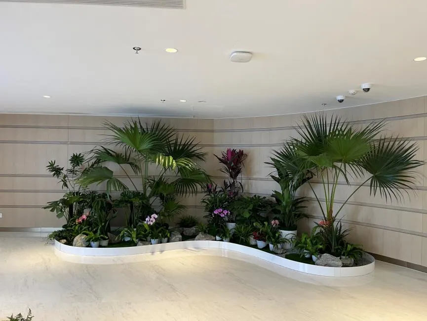 镇海盆景出租，贴心周到服务，点亮你的空间！