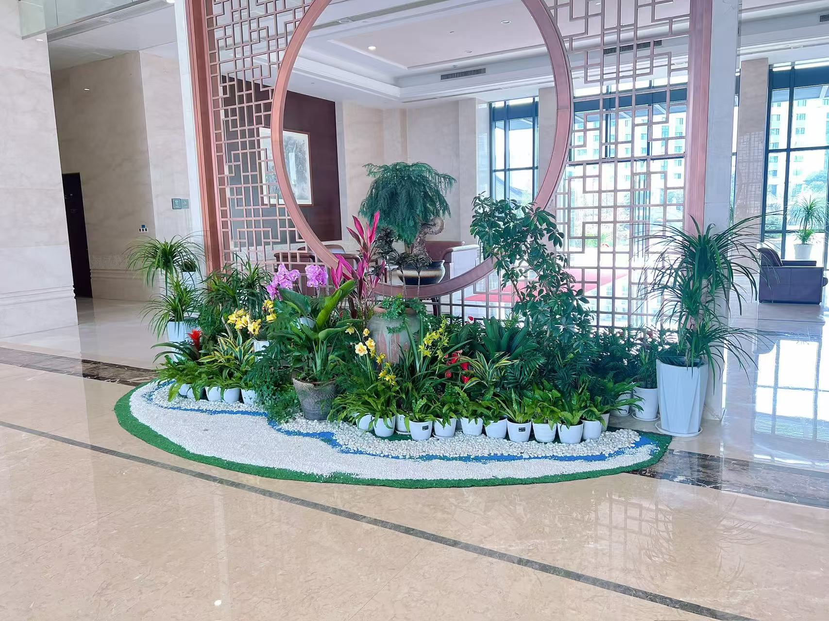 江北绿植出租，给您的环境注入满满的自然活力！